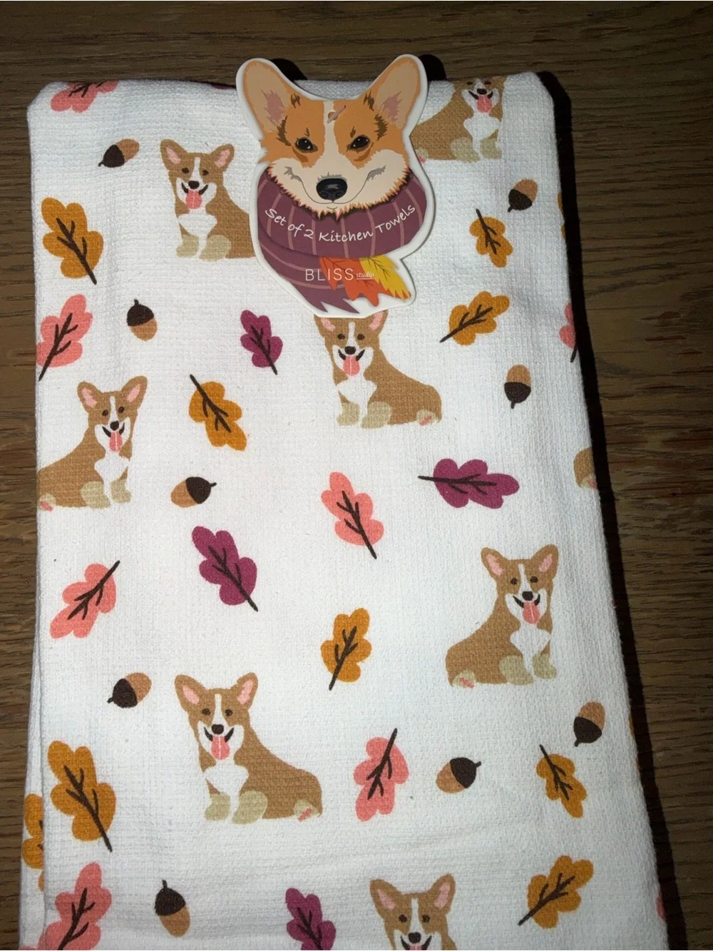 Bliss Studio playful corgi